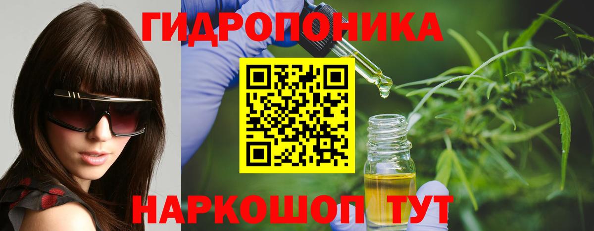 Марихуана MAZAR  МАРИХУАНА гибрид  Пугачёв  Вход с VPN 